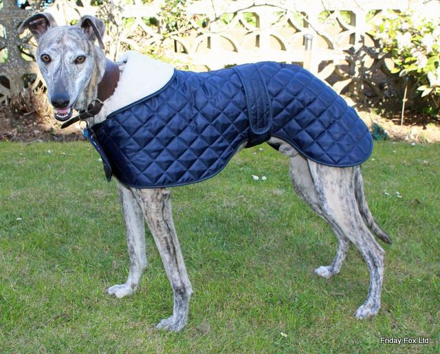 Quilted Greyhound Coat